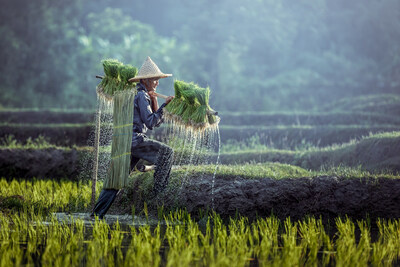 Lexasure Partners with AgriON to Offer Mobile Agricultural Insurance to Thousands of Farmers in Indonesia
