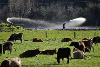 CropX now offers animal effluent irrigation advice and lagoon monitoring as part of the CropX Agronomic Farm Management System. In this image, a farmer checks on his effluent sprayer on a dairy farm in Westland, New Zealand. Image: Lakeview_images/iStock