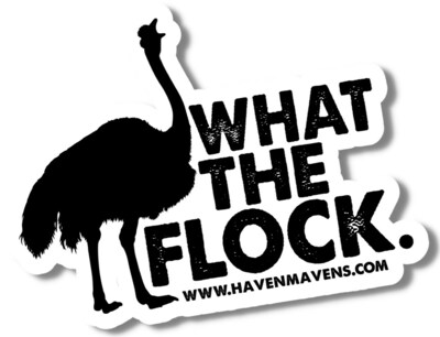 HAVEN Creative launches the "What the Flock" Campaign to help organizations better understand their marketing.