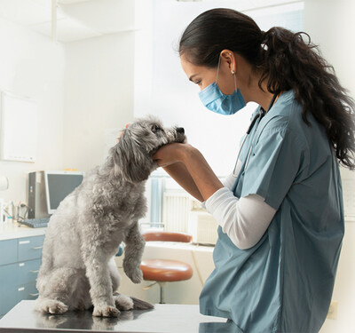 NewDay Veterinary Care at Pet Paradise has selected Covetrus’ Pulse as its cloud-based veterinary operating system (vOS) nationwide. Launched in early 2022, Pulse seamlessly connects veterinarians to the technology they need to optimize their practice amid workforce challenges and a drumbeat of demand.