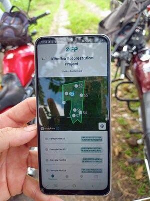 OFP Project, Green Balam Forests, with the Forester data collection app in the field in Guatemala