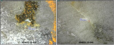 Figure 4 - Visible Gold in DDRCCC-22-039 at 417.25 m and DDRCCC-040 at 58.1 m (CNW Group/Sitka Gold Corp.)