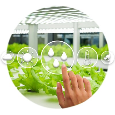 Microclimate Precision Horticulture Solutions