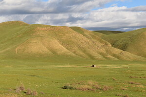 SPECIES CONSERVATION IN THE SAN JOAQUIN VALLEY