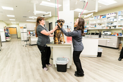 Palmer Lake Veterinary Hospital currently serves 1,675 clients and nearly 2,600 pets in the Monument community and surrounding areas. Their compassionate care team brings years of experience and are proud to offer nose-to-tail, comprehensive veterinary care. Their vast offerings include preventative wellness care, vaccines, surgical procedures, dental care, microchipping and more.