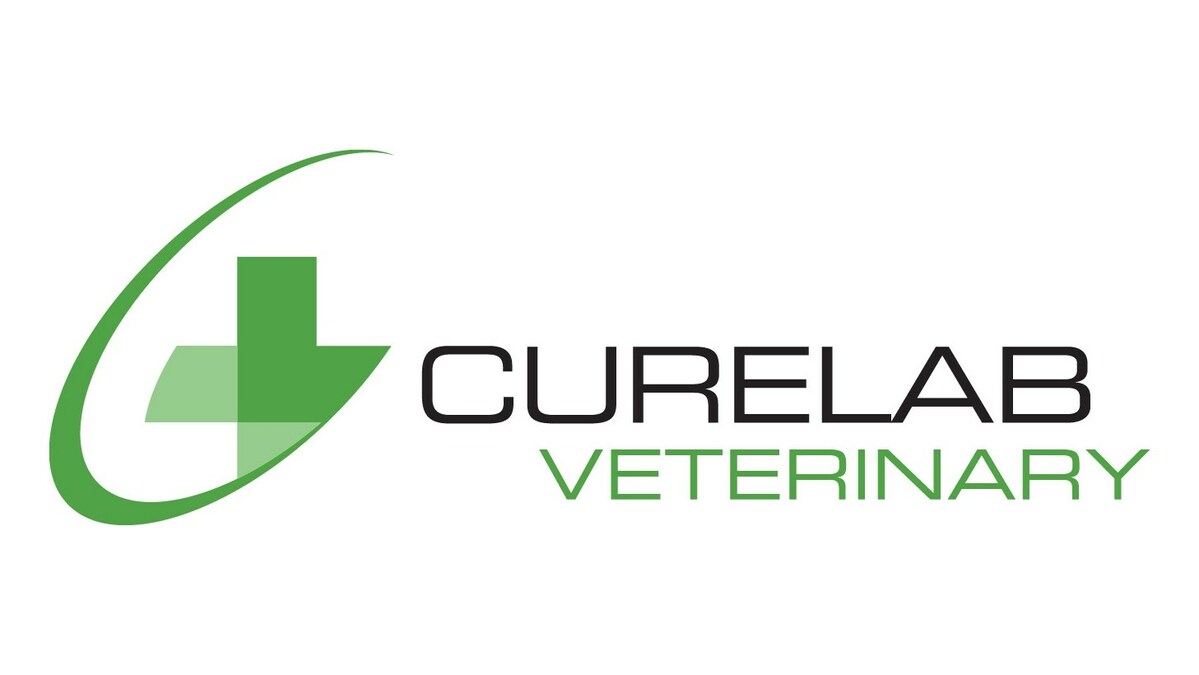 CureLab Veterinary Launches Equity Crowdfunding Campaign on Netcapital to Revolutionize Medicine for Dogs, Cats, and Horses - Vimarsana News