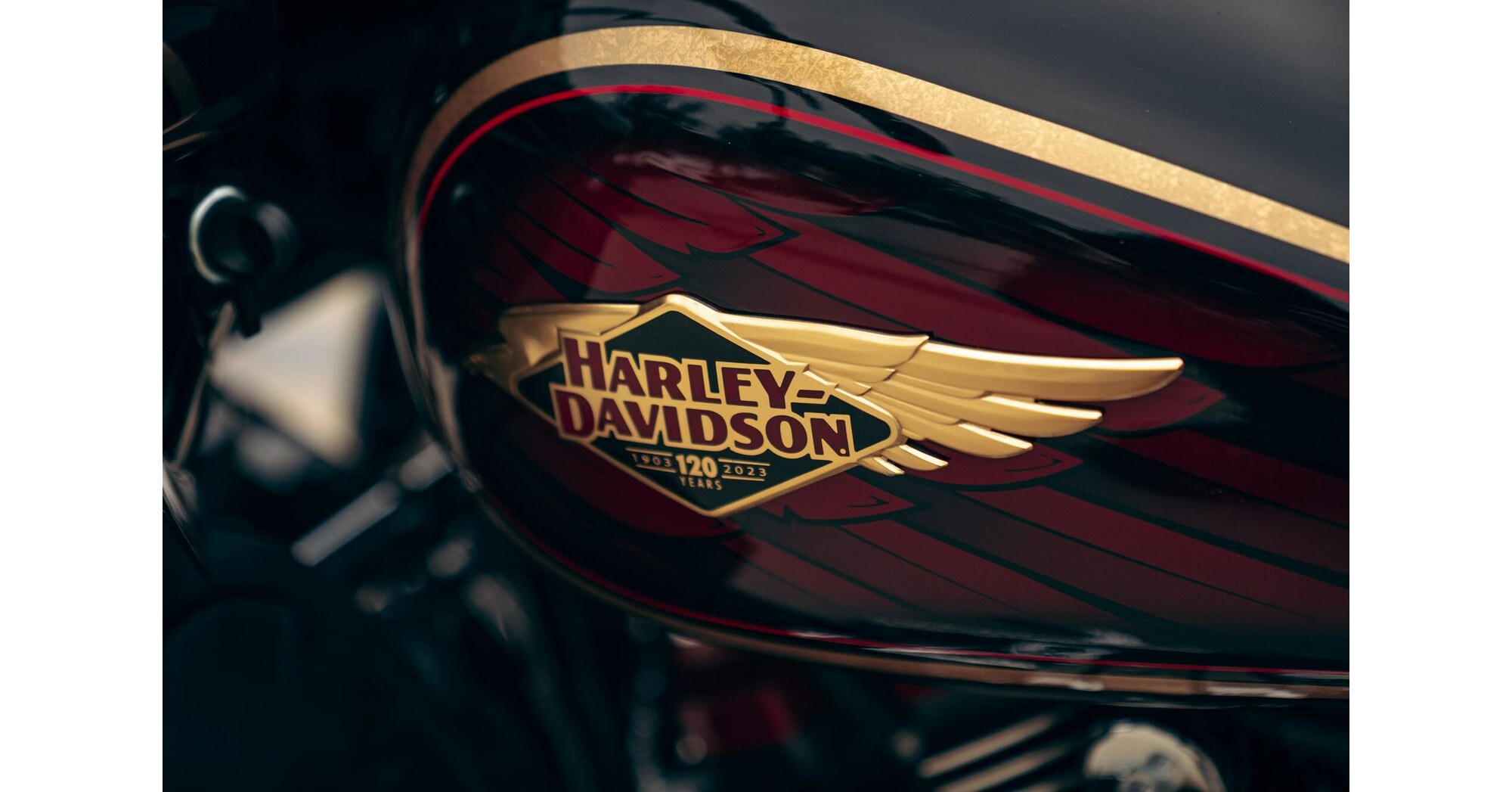 https://mma.prnewswire.com/media/1985578/Limited_Anniversary_model_Harley_Davidson.jpg?p=facebook