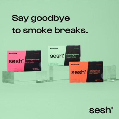 Sesh+ nicotine replacement therapy gum now available at Metro, Circle K, Shell, and others (CNW Group/Sesh+)
