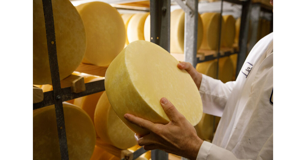 Culture: A Guide to the King of Cheeses, Parmigiano-Reggiano