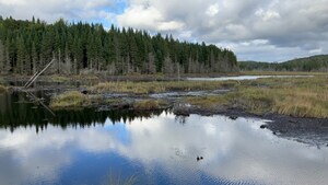 Canards Illimités Canada s'associe à la Sépaq pour cartographier des milieux humides