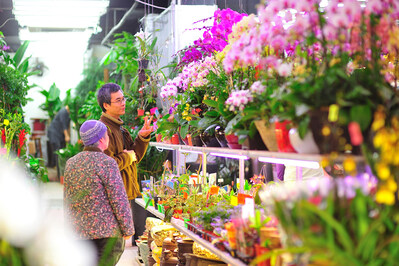 Chinese Flower Market
Stock Image (CNW Group/Hong Kong Tourism Board)