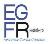 LUNGevity Foundation is honored to announce its second research partnership with the EGFR Resisters in issuing a Request for Application (RFA) for high-impact research focused on EGFR-positive lung cancer.