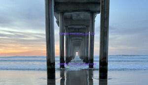 Torrey Pines Gallery Opens in Coastal Enclave