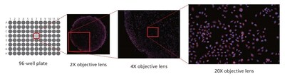 Conceptual image of observing well plates with a range of magnifications, from low to high.