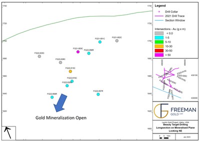 Figure 2.  Beauty Zone Long Section (CNW Group/Freeman Gold Corp.)