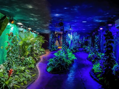 Aglaé's unique concept of plant luminescence, a new member of the Events Lab of the Palais des congrès de Montréal. (CNW Group/Palais des congrès de Montréal) Aglaé's unique concept of plant luminescence, a new member of the Events Lab of the Palais des congrès de Montréal. (CNW Group/Palais des congrès de Montréal)