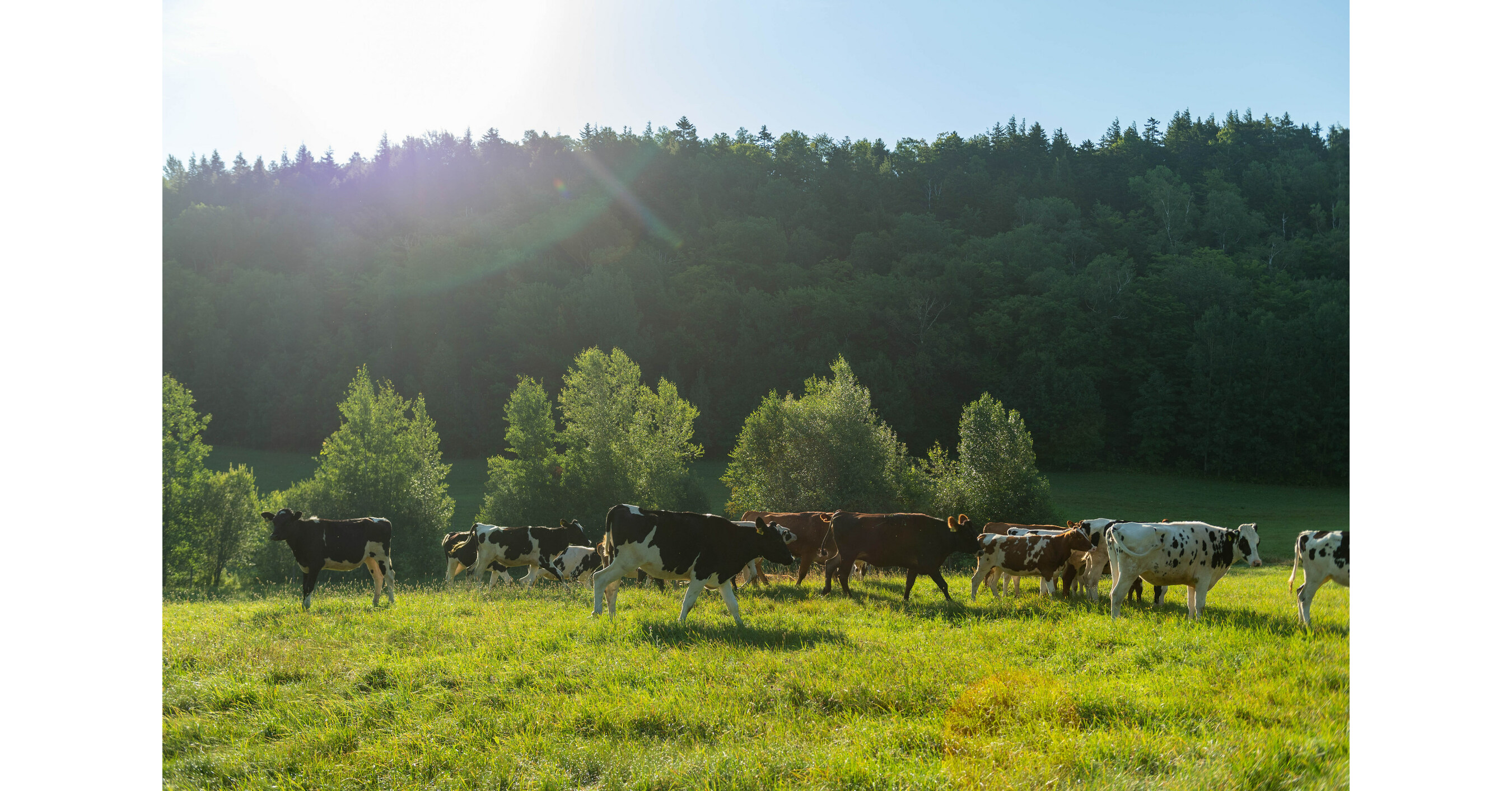 Organic Valley Helps Secure MuchNeeded Resources for Small Organic