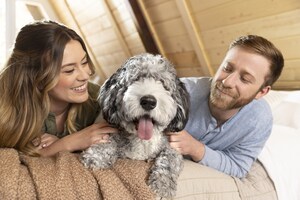 When It Comes to Pets in the Bedroom, Three's a Crowd