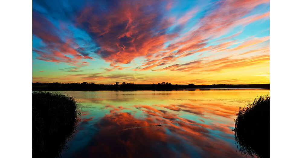 Ducks Unlimited Canada celebrates World Wetlands Day and its 85th ...