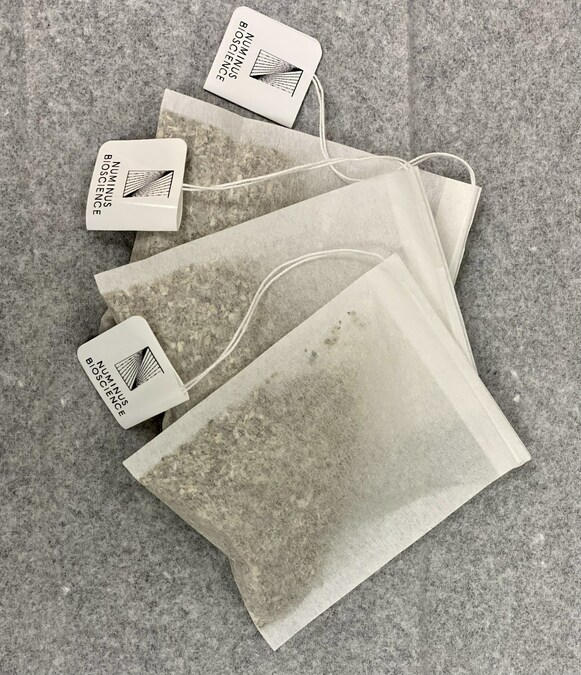 Numinus Receives Clinical Trial Application Approval from Health Canada for Experiential Psychedelic-Assisted Therapy Training using Psilocybe Cubensis Tea - Vimarsana News