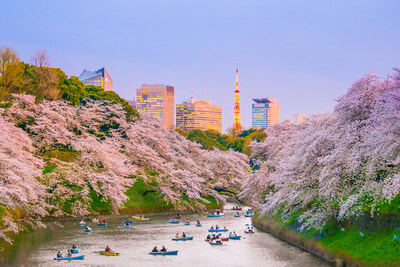 Travelers are eager to see the cherry blossoms of Tokyo – flight searches are up 55% this spring.