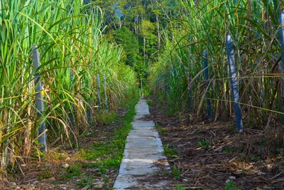 Photo 2: Section of the San Jose Access in Harmony with Local Development. (CNW Group/Libero Copper & Gold Corporation.)