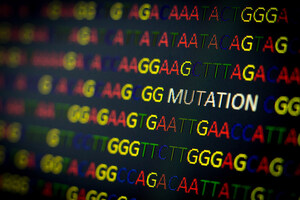 Perthera.ai announces a Category III CPT Code from the AMA covering It's Patented Precision Oncology Decision Support Platform