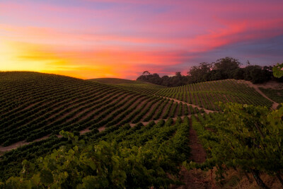 Tour world-renowned wineries and indulge in a culinary odyssey in Napa Valley, October 29 to November 4, 2023