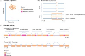 Pediatric Investigation Review Throws Light on Improving Diagnosis of Genetic Diseases with RNA Sequencing