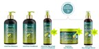 Mielle Launches Avocado &amp; Tamanu Anti-Frizz System for Textured Hair with Proprietary Refrigerate-to-Activate Cold Application Technology™