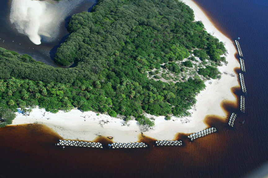 SEA & SHORELINE AND LIVING SHORELINE SOLUTIONS INC. FORM JOINT VENTURE TO ENHANCE COASTAL RESILIENCY - Vimarsana News