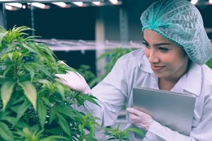 Partnered Process Wins as Best CBD Contract Manufacturer