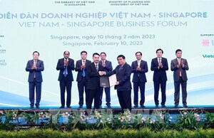 Masan Group awarded investment registration certificate to invest USD105 million in Trust IQ in Singapore