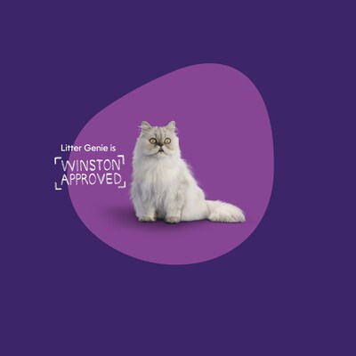 The new Litter Genie® #LitterallyGenius commercial stars Winston the grumpy cat. Despite the fact that he thinks his owners are generally incompetent, Winston begins to fall in love with his new litter disposal pail. Litter Genie® is officially Winston-approved! (CNW Group/Litter Genie)