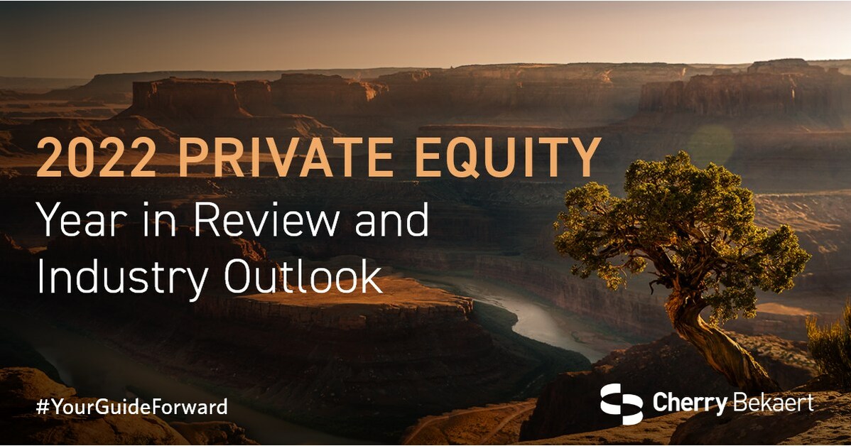 Private Equity Industry Overview