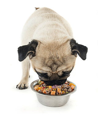 JustFoodForDogs is recommended more by veterinarians than all other brands
combined.