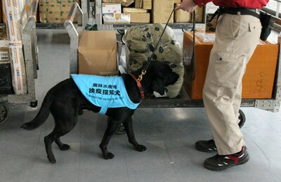 Quarantine detector dogs identify meat, fruits, and other items at the international post office.