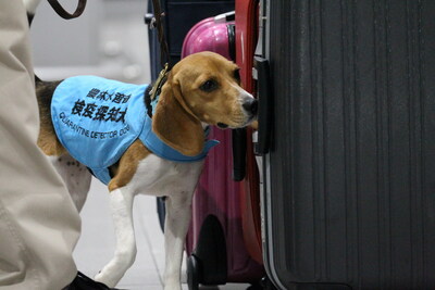 Quarantine detector dogs are also on duty at airports.