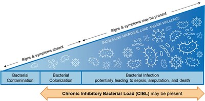 Chronic inhibitory bacterial load ("CIBL") on the bacterial-infection continuum. Based on the International Wound Infection Institute (IWII) 2022 wound infection continuum (CNW Group/MolecuLight)