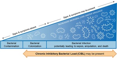 Chronic inhibitory bacterial load ("CIBL") on the bacterial-infection continuum. Based on the International Wound Infection Institute (IWII) 2022 wound infection continuum