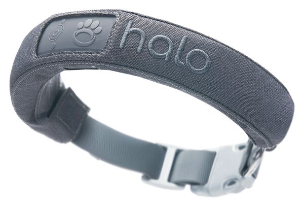 halo-collar-announces-three-industry-award-wins-digital-news