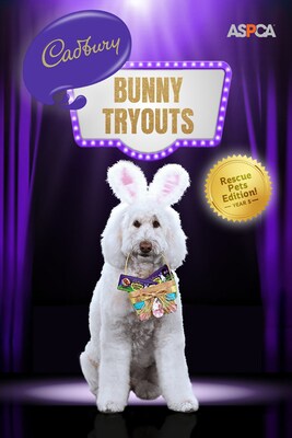 5th Annual Cadbury Bunny Tryouts, Rescue Pets Edition