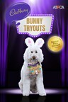 Open for Entries - Your Rescue Pet Could be the Next Cadbury Bunny