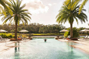 Relax beneath the palms at the infinity-edge Oasis pool, the only adult pool within Walt Disney World Resort.