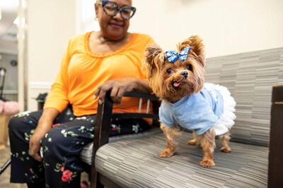 Pets provide vital social connections for many older adults and can have a significant positive impact on their physical and mental health and well-being.