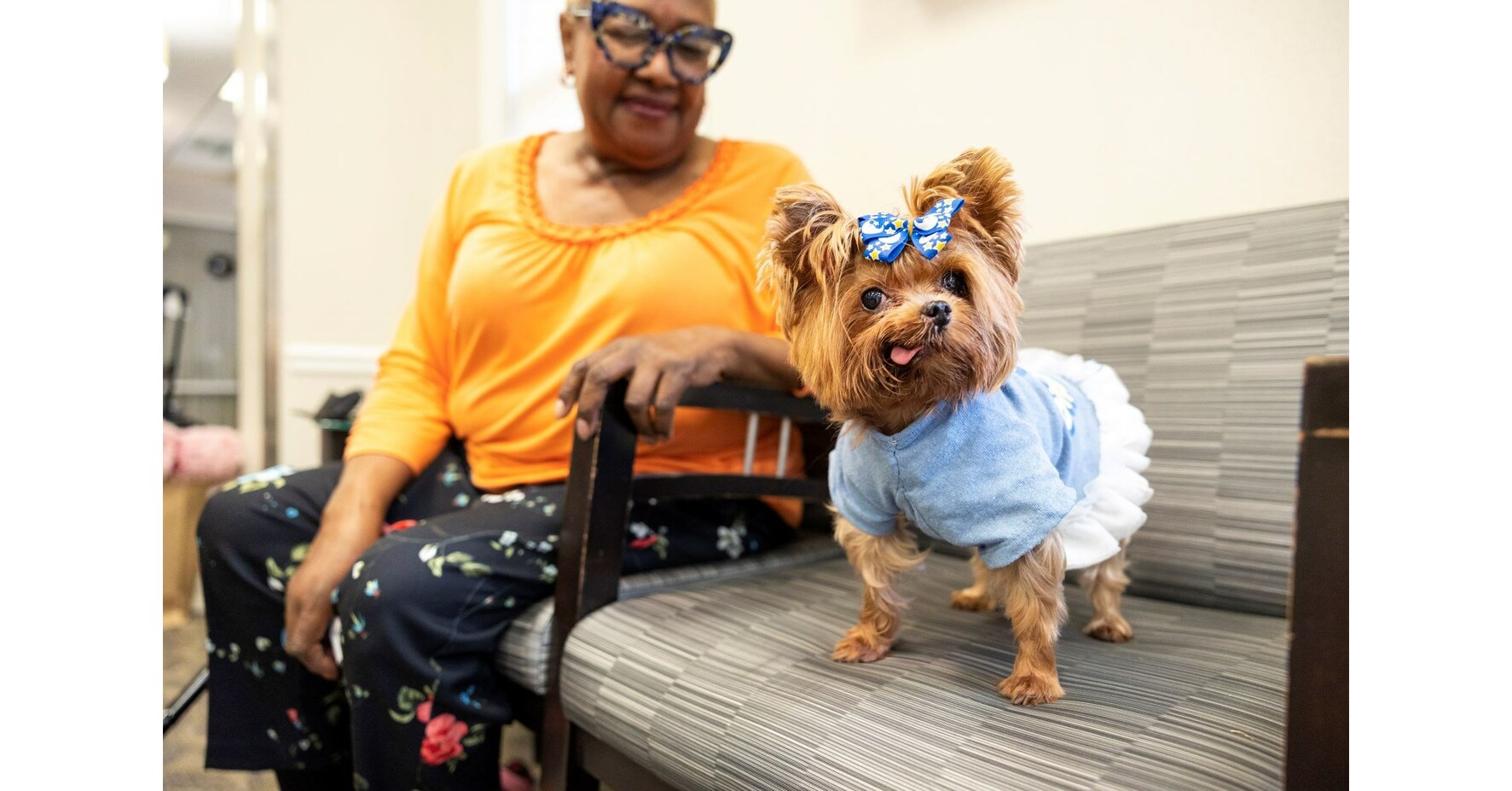 PetSmart Charities® Renews 3 Million Grant to Meals on Wheels America