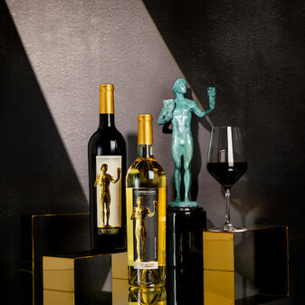Cooper's Hawk Winery & Restaurants Partners with the SAG Awards® as the Official Wine Partner and Presenter of the SAG Awards Green Room - Vimarsana News