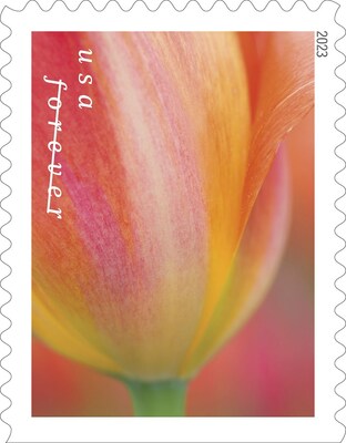 Tulips 2022, Discounted Forever Stamps