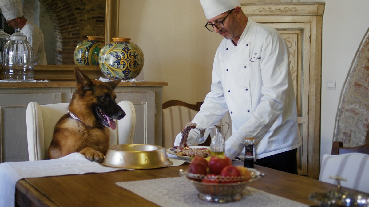 Canine Star of Netflix's Gunther's Millions Purchases Nicolas Cage's Private Bahamian Island and Starts NFT Collection - Vimarsana News