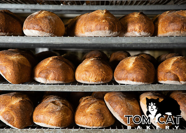 Tom Cat Bakery's fully baked frozen breads include signature products like their Northeast Heirloom Sourdough Batard made with Red Fife wheat.